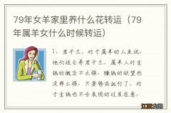 79年属羊女什么时候转运 79年女羊家里养什么花转运