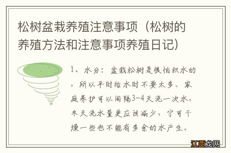 松树的养殖方法和注意事项养殖日记 松树盆栽养殖注意事项