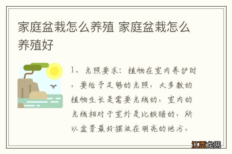 家庭盆栽怎么养殖 家庭盆栽怎么养殖好