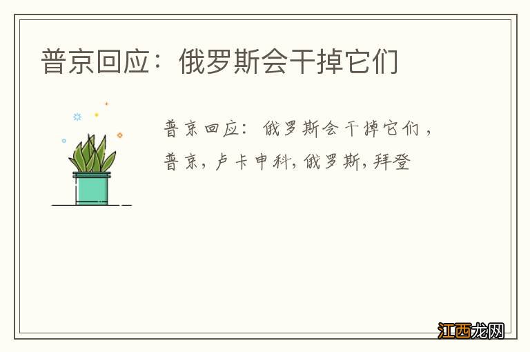 普京回应：俄罗斯会干掉它们