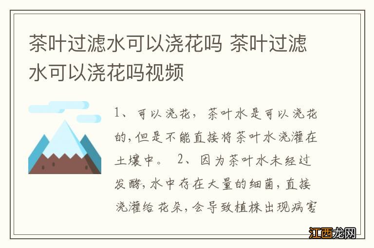 茶叶过滤水可以浇花吗 茶叶过滤水可以浇花吗视频