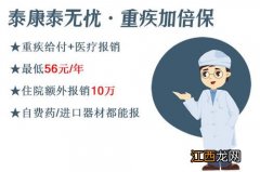 泰康泰无忧重疾医疗保怎么全额退保？