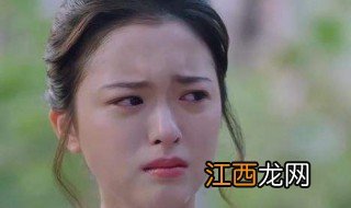 小橙子以家人之名长大后的演员 由宋芳园饰演的