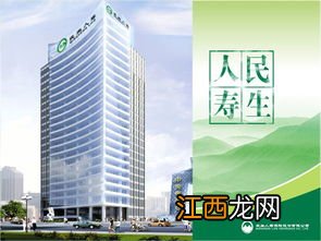 民生人寿有哪些重疾险?