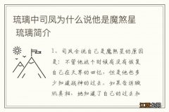 琉璃中司凤为什么说他是魔煞星 琉璃简介