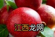 芒果里面稀软还能吃吗 芒果外面好的里面软烂是怎么回事
