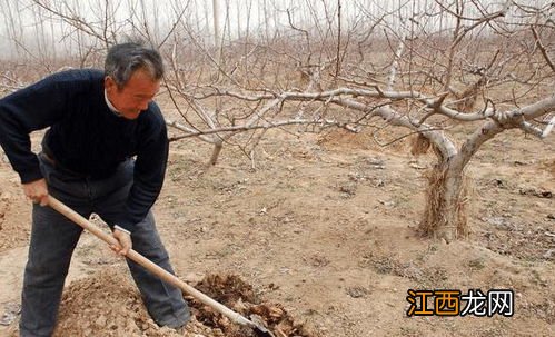 农家肥发酵方法，农家肥是什么肥