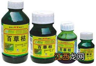 打过百草枯的地多久能种蔬菜,百草枯的作用