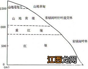 一二三类土如何划分，土壤类别划分依据是什么