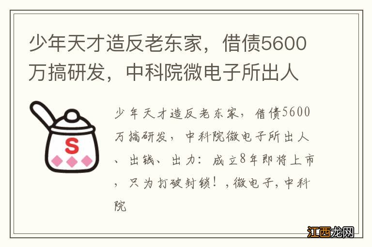 少年天才造反老东家，借债5600万搞研发，中科院微电子所出人、出钱、出力：成立8年即将上市，只为打破封锁！