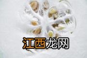 梨和菠萝相克吗 菠萝和梨可以一起榨汁吗