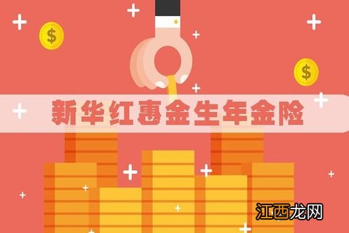 新华开门红惠金生年金险收益是多少？