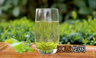 薄荷怎么喝茶最好