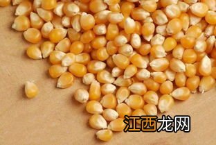 商玉18玉米种子审定了吗，附简介