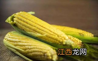 东北玉米亩产量一般多少斤,东北玉米什么时候收获