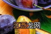 马齿苋和豆腐一起吃吗 马齿苋与什么食物相克