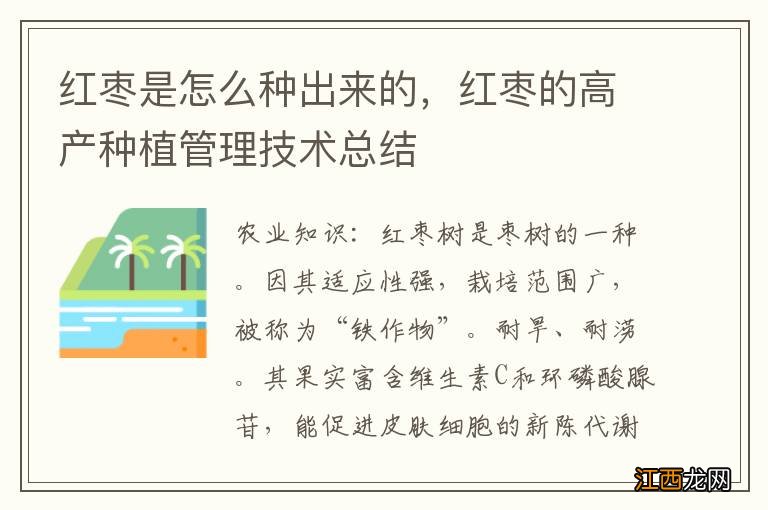 红枣是怎么种出来的，红枣的高产种植管理技术总结