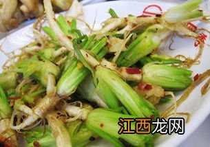 香菜根做什么菜