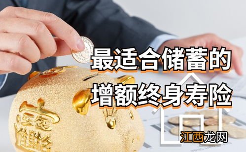 终身寿险适合谁买？