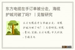 东方电缆在手订单被分走，海缆护城河破了吗？丨见智研究