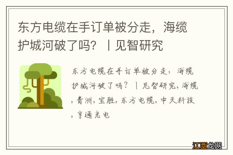 东方电缆在手订单被分走，海缆护城河破了吗？丨见智研究