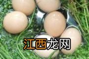 荠菜湖南叫什么 湖南地区常见野菜