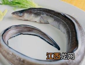 鳗鱼红烧要多久