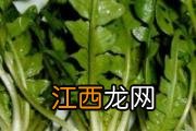 树莓怎么保存 树莓怎么挑选