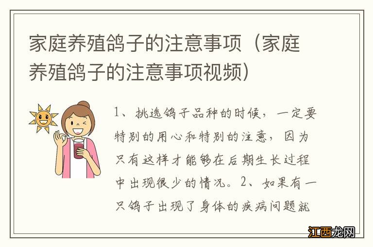 家庭养殖鸽子的注意事项视频 家庭养殖鸽子的注意事项