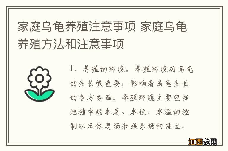 家庭乌龟养殖注意事项 家庭乌龟养殖方法和注意事项