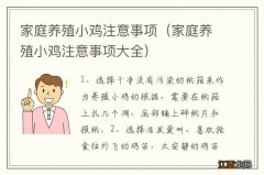 家庭养殖小鸡注意事项大全 家庭养殖小鸡注意事项