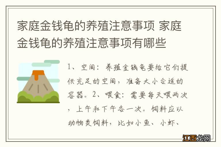 家庭金钱龟的养殖注意事项 家庭金钱龟的养殖注意事项有哪些