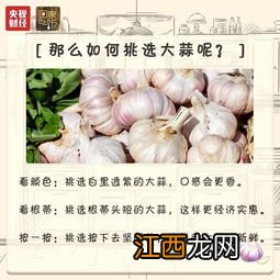 花蛤买回来吃不完怎么保存