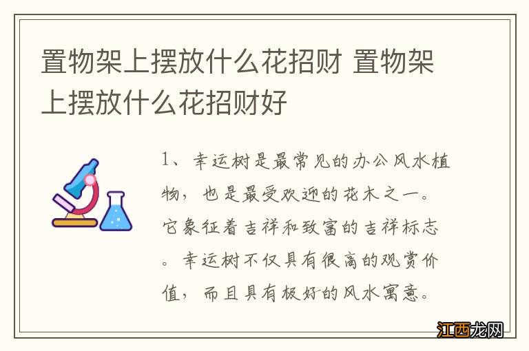 置物架上摆放什么花招财 置物架上摆放什么花招财好