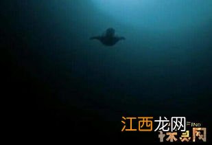 海底9万米有多恐怖 有办法测试这么深么