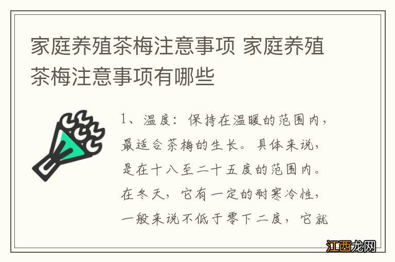 家庭养殖茶梅注意事项 家庭养殖茶梅注意事项有哪些