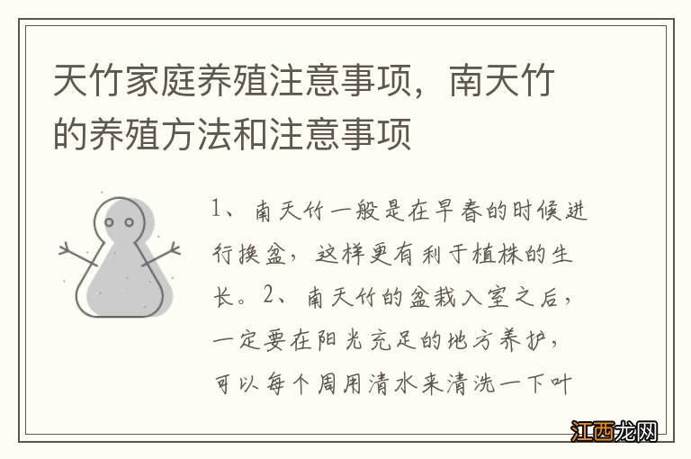 天竹家庭养殖注意事项，南天竹的养殖方法和注意事项