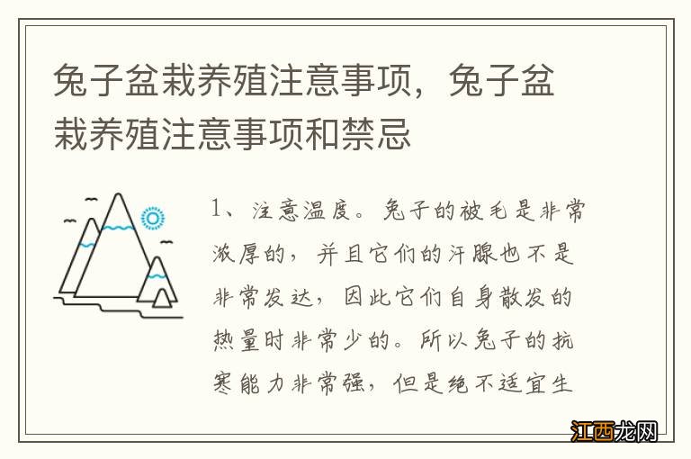 兔子盆栽养殖注意事项，兔子盆栽养殖注意事项和禁忌