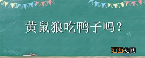 黄鼠狼吃鸭子吗