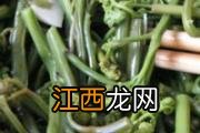菱角吃了会长胖吗 菱角吃了上火吗