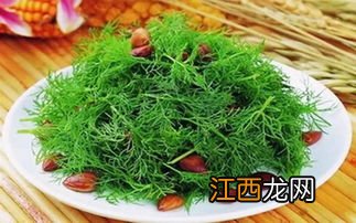 茴香能怎么吃好吃