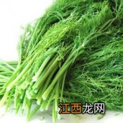 茴香能怎么吃