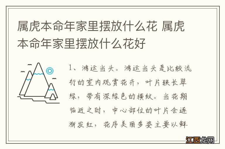 属虎本命年家里摆放什么花 属虎本命年家里摆放什么花好