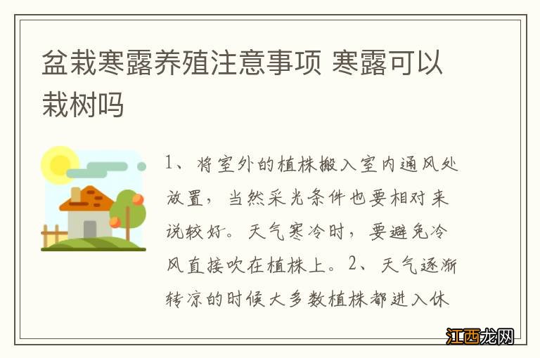 盆栽寒露养殖注意事项 寒露可以栽树吗