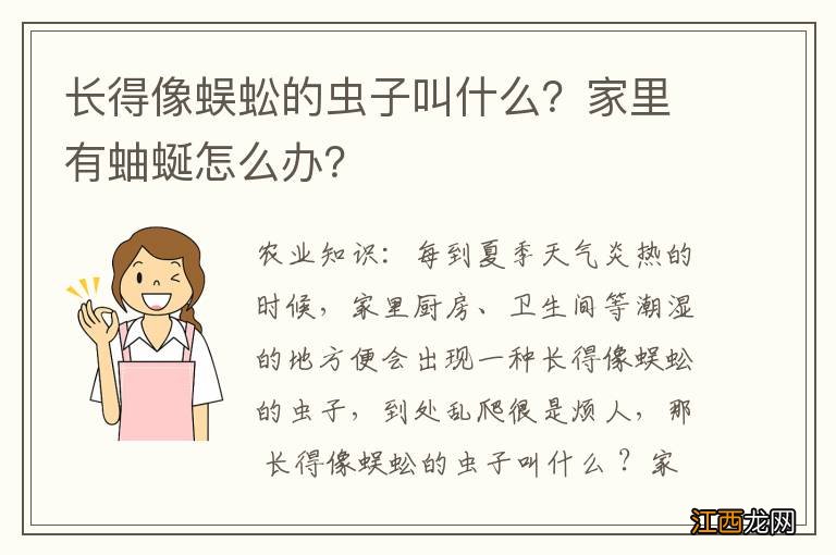 长得像蜈蚣的虫子叫什么？家里有蚰蜒怎么办？