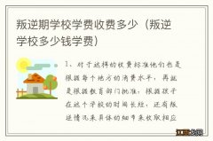 叛逆学校多少钱学费 叛逆期学校学费收费多少