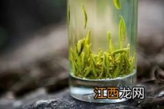 怎么看茶叶放多少克