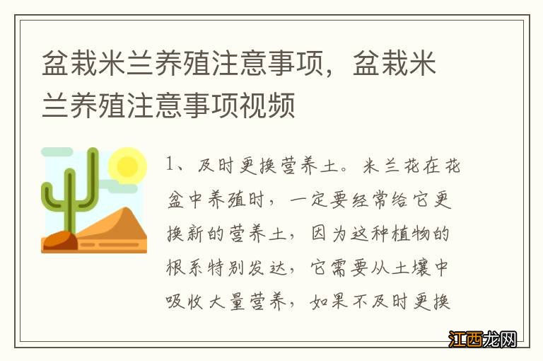 盆栽米兰养殖注意事项，盆栽米兰养殖注意事项视频