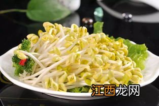 黄豆芽是怎么生出来的