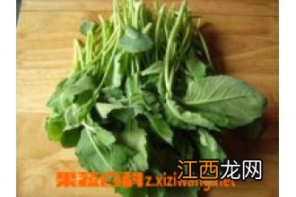 什么叫橄揽菜